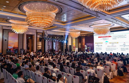 与未来相遇，与科技相拥——2020 AIOTE北京智博会会议会展服务纪实